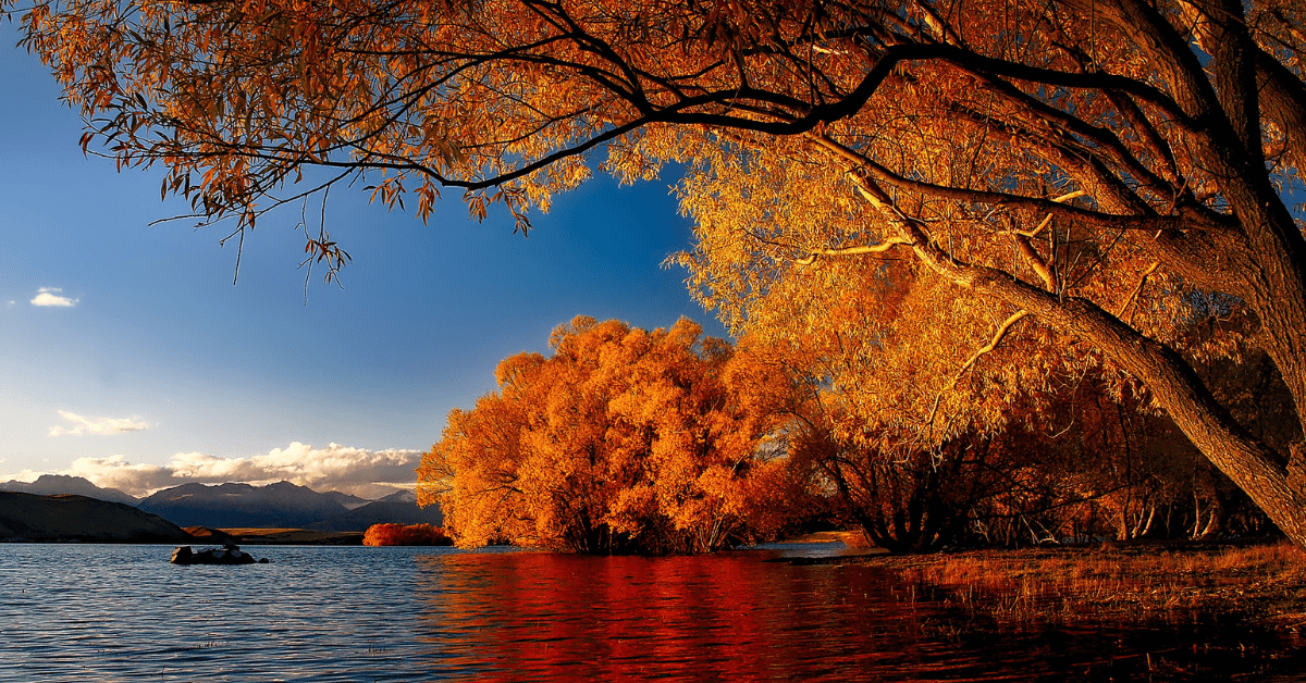 Autumn trees with orange leaves over a lake at sunset, with mountains in the distance.