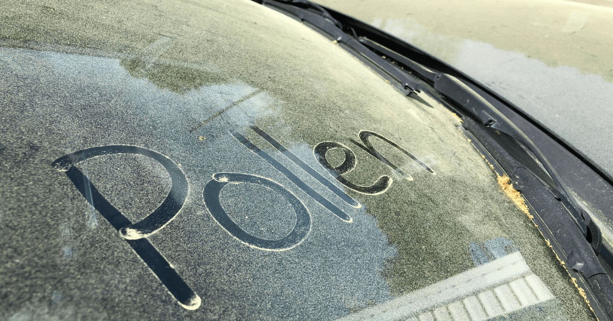 Dirty car windshield with the word “Poison” written in dust on the glass