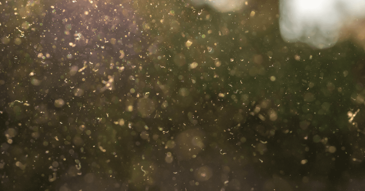 Soft sunlight through dusty air with floating particles and warm bokeh in a blurred outdoor scene