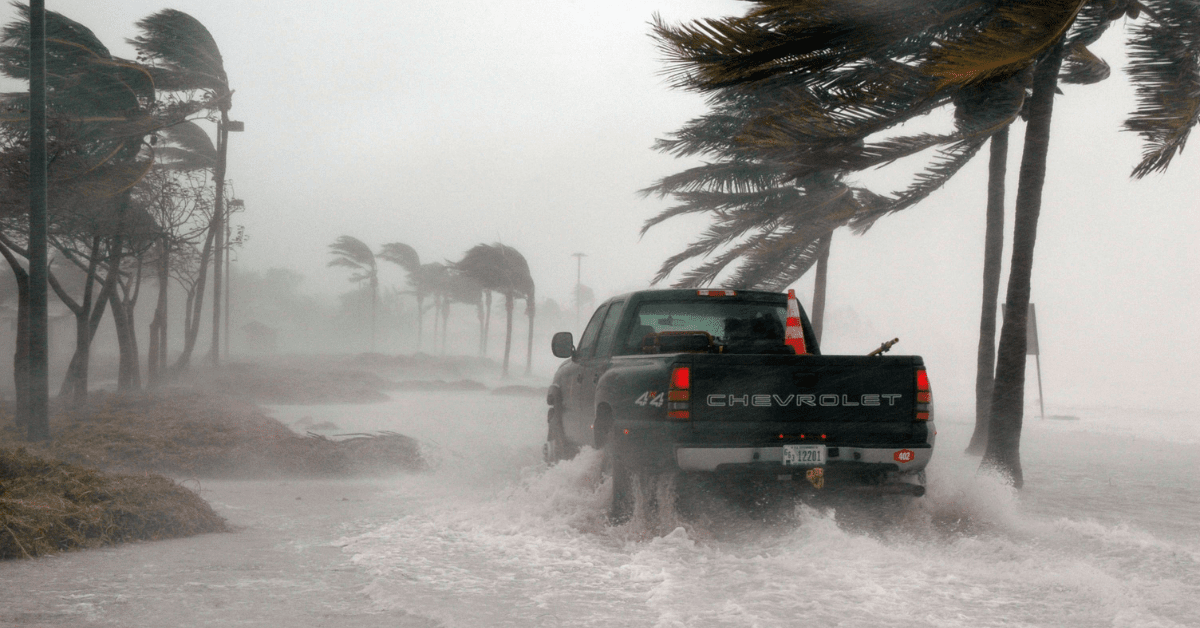 Pickup truck driving through a flooded road in heavy rain, with palm trees bending in strong wind.