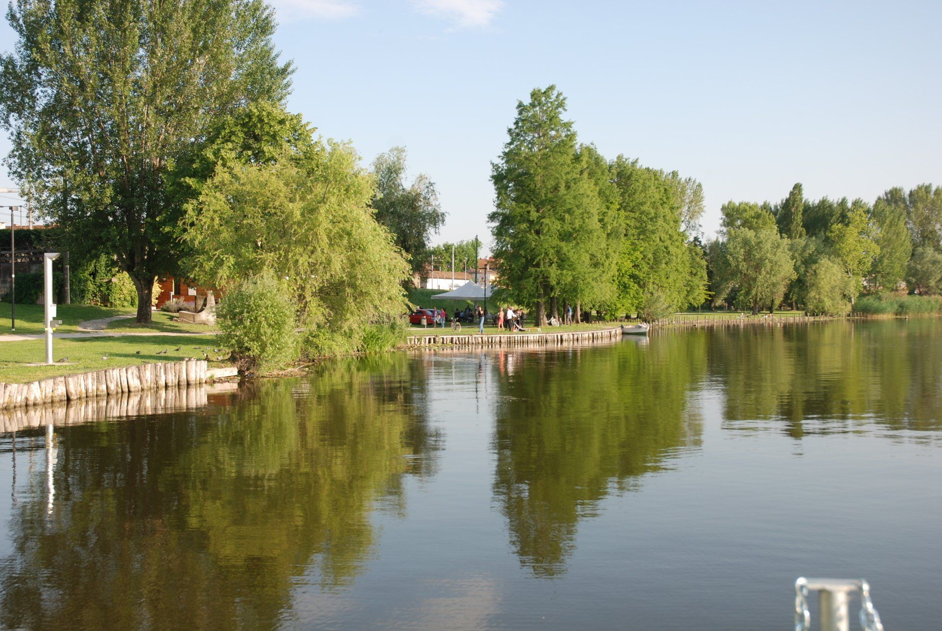 Tranquilla riva del fiume, con alberi verdi che si riflettono nell'acqua immobile in una giornata di sole.