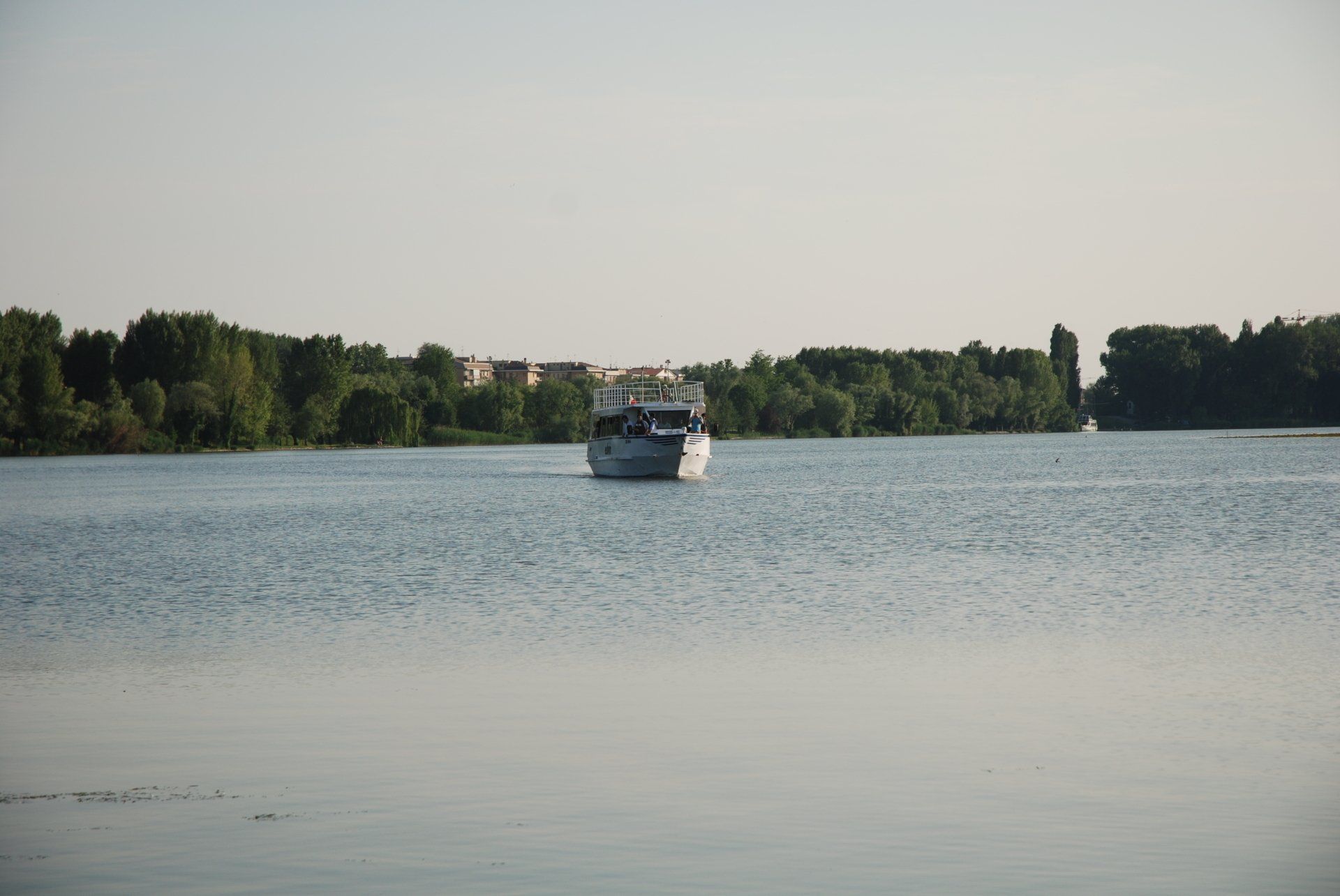 Motoscafo su un lago tranquillo con rive alberate in lontananza.