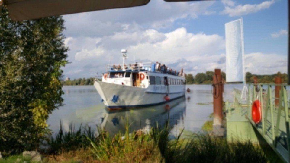 Un traghetto passeggeri bianco naviga su un fiume tranquillo, accanto a un molo erboso, sotto un cielo nuvoloso.