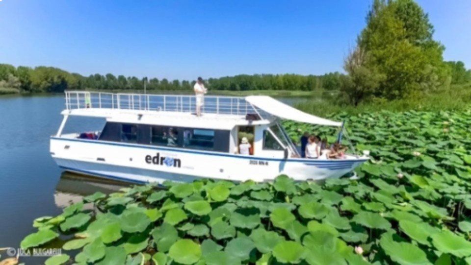 Barca bianca con passeggeri su un lago ricoperto di ninfee sotto un cielo azzurro