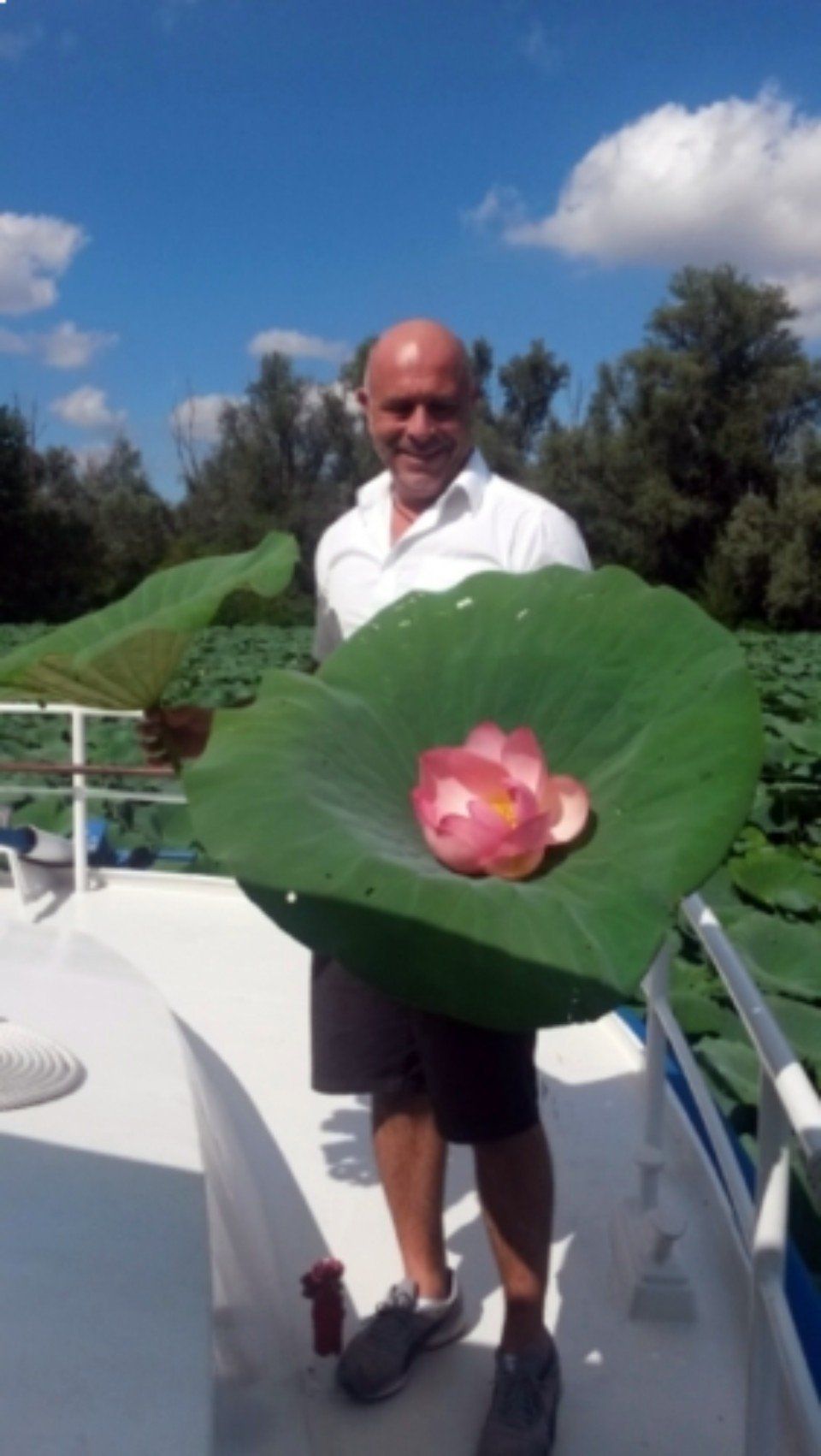 Un uomo su una barca tiene in mano una grande foglia di loto verde con un fiore rosa, sullo sfondo di un cielo azzurro.