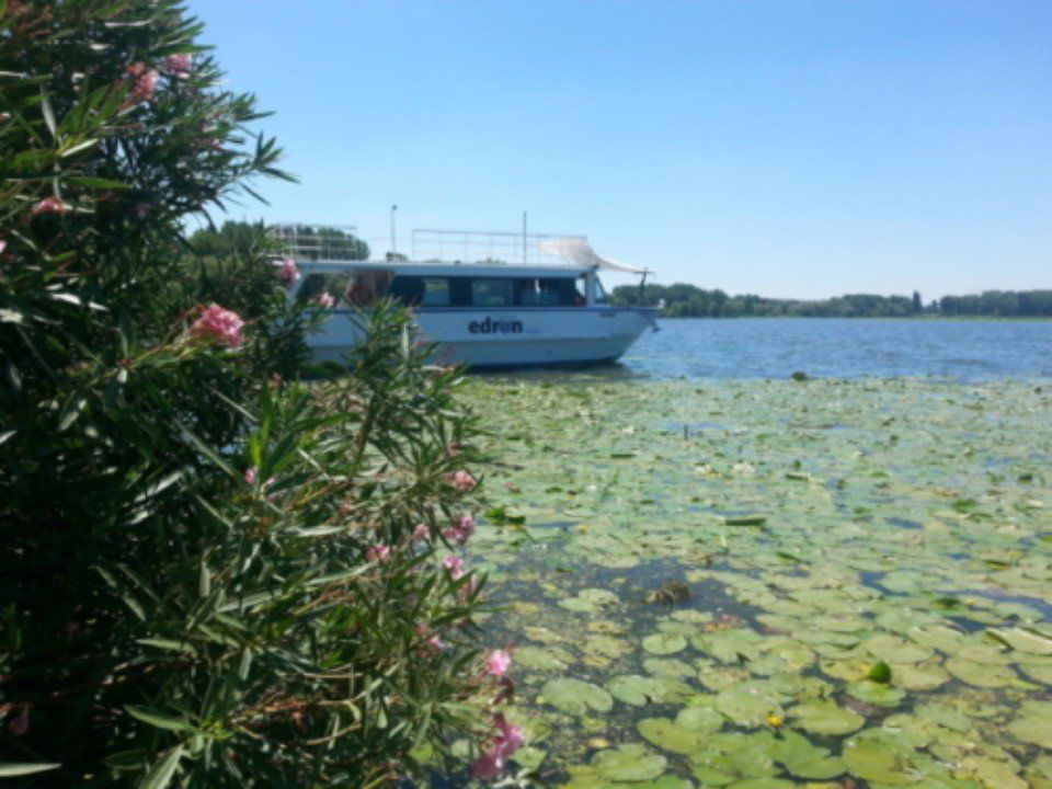 Una barca bianca su un lago blu accanto a ninfee verdi e cespugli fioriti rosa.