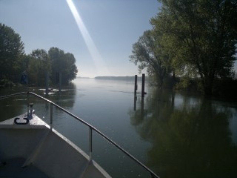 Fiume o lago illuminato dal sole con acque calme, alberi che costeggiano la riva, visti dal ponte di una barca.