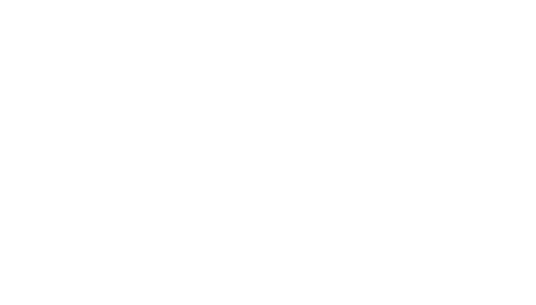 Immagine bianca vuota, priva di contenuto visibile.