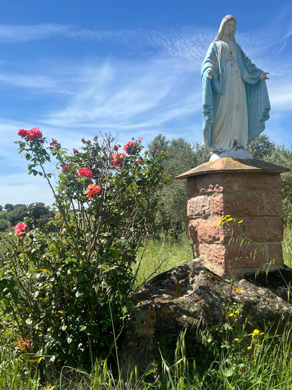 Statua della Vergine Maria su un piedistallo di pietra accanto a rose rosse in un giardino soleggiato