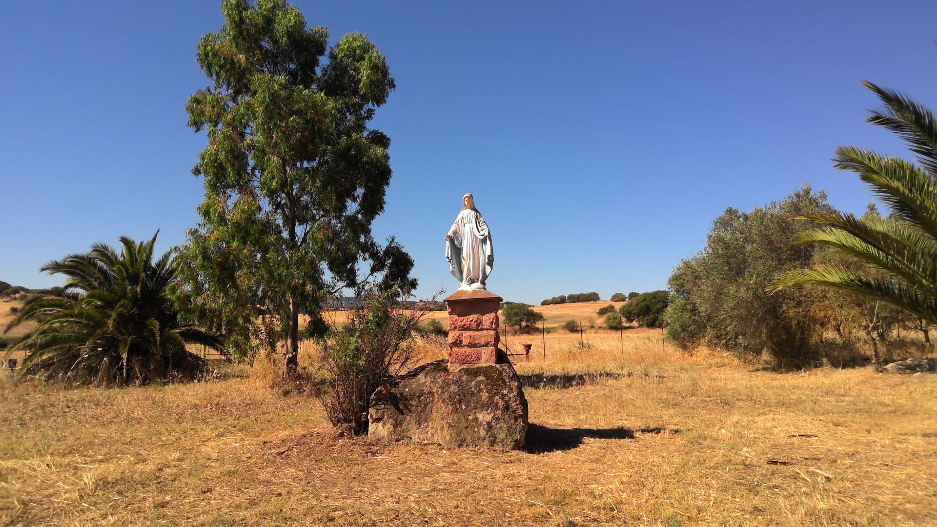 Statua su un piedistallo in un campo arido con alberi sotto un cielo azzurro e limpido.