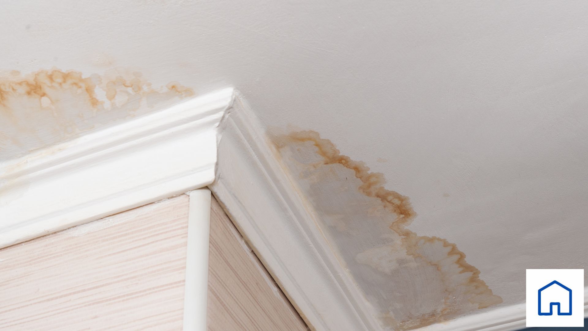 A corner of a wall with a stain on it.