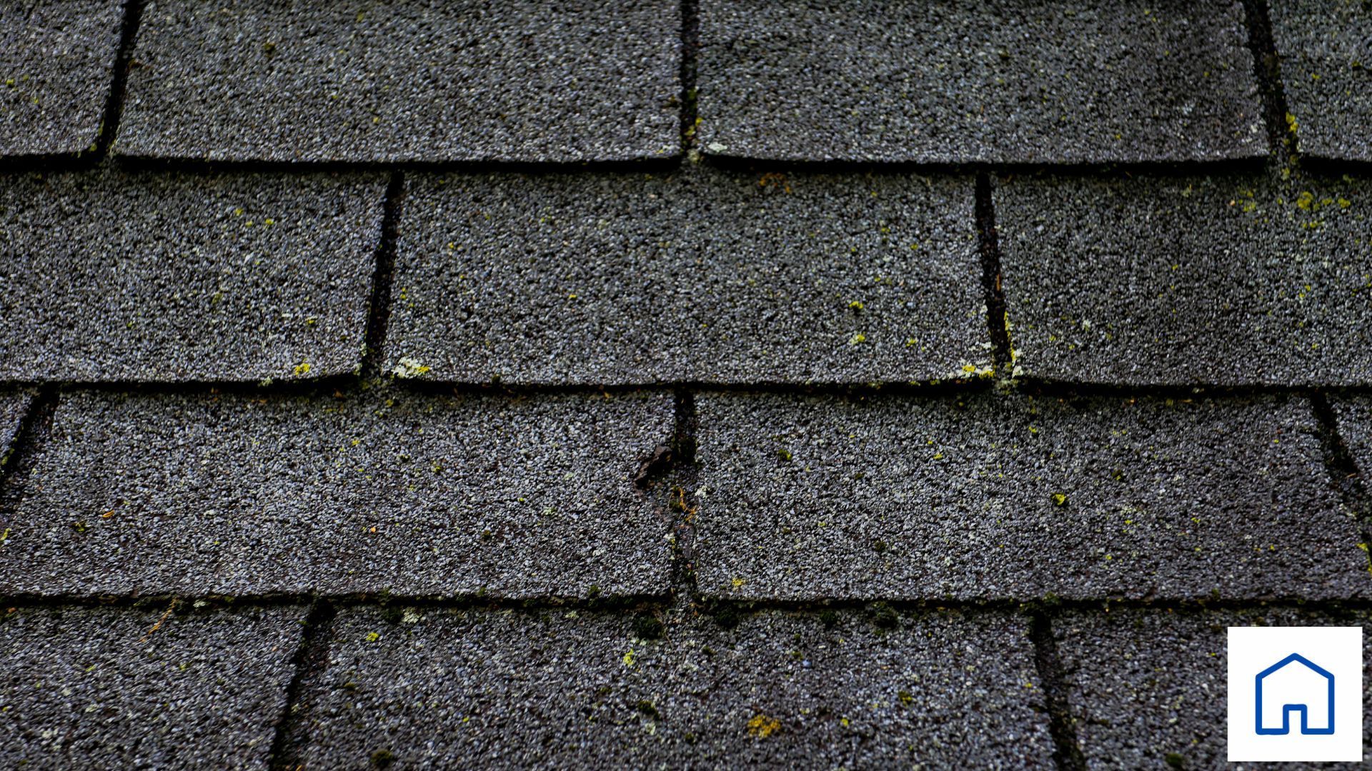 A close up of a roof with moss growing on it.
