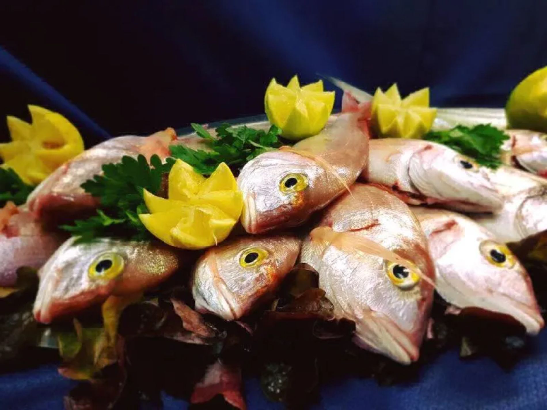 Pesce fresco
