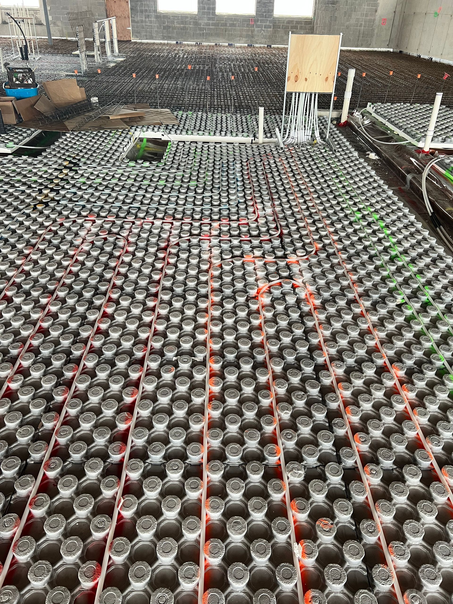 Rows of small potted plants in a greenhouse under a netted roof, with red support strings between trays.