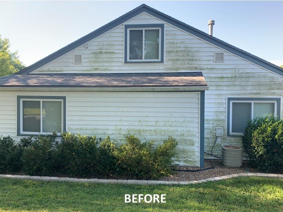 White house with green algae growth on siding; before cleaning.