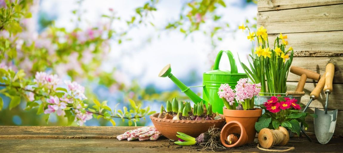 piante per balconi e giardini