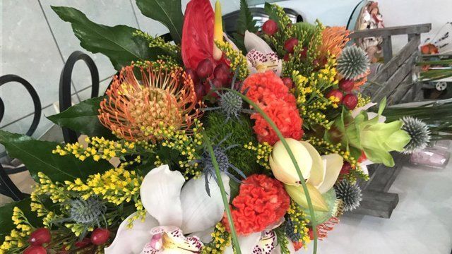 vendita piante e fiori