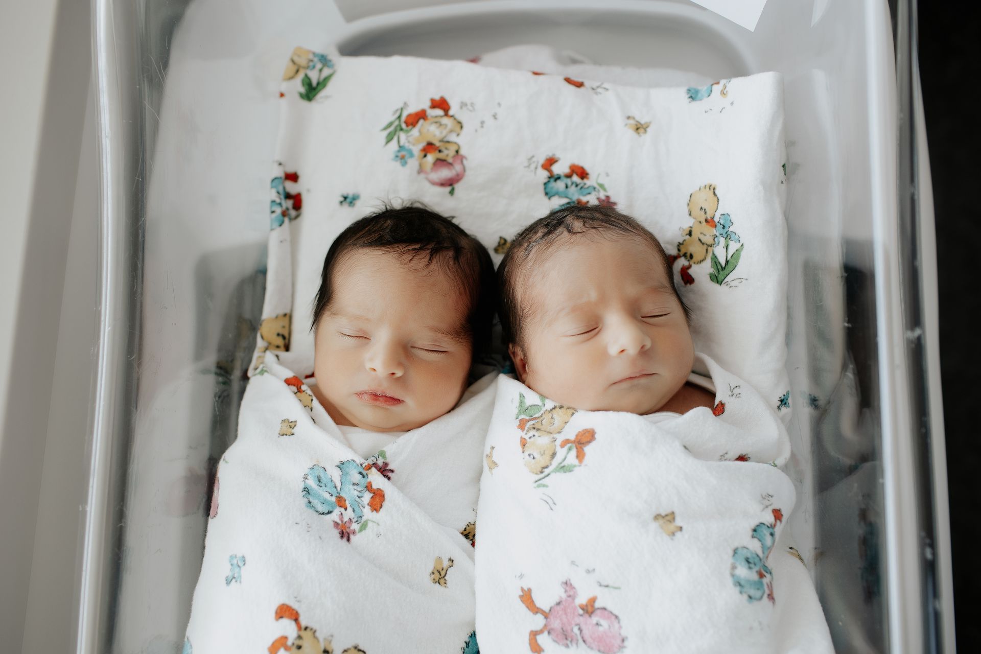 Two newborn babies swaddled in blankets, sleeping in a hospital bassinet.