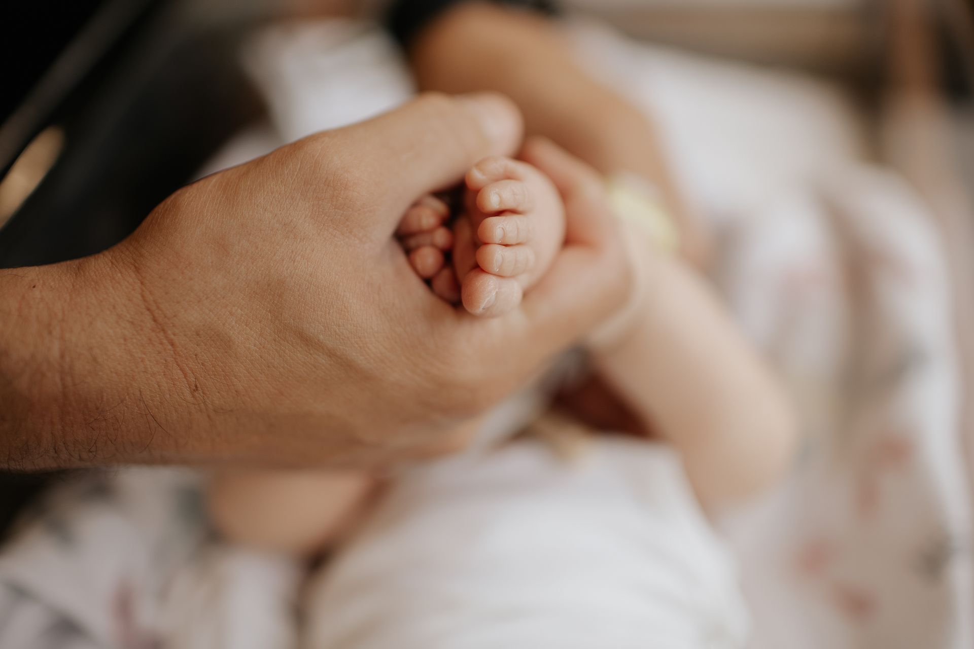 Adult hand gently holding a newborn baby's tiny feet; soft focus.