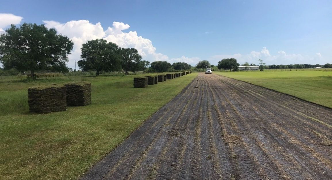 A dirt road going through a grassy field with bales of hay on the side.