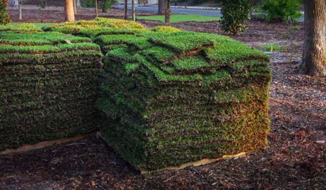 A pile of turf is sitting on top of a wooden pallet.