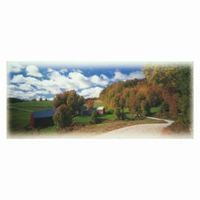 Rural landscape with a road, green fields, and trees with autumn foliage. Blue sky with clouds.