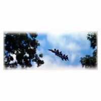Jets in formation flying through a partly cloudy sky, framed by trees.
