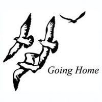 Black silhouettes of four birds in flight; text says 