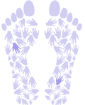 Harrogate Health Team - Osteopath, Pilates and Reflexology in Pannal, Harrogate