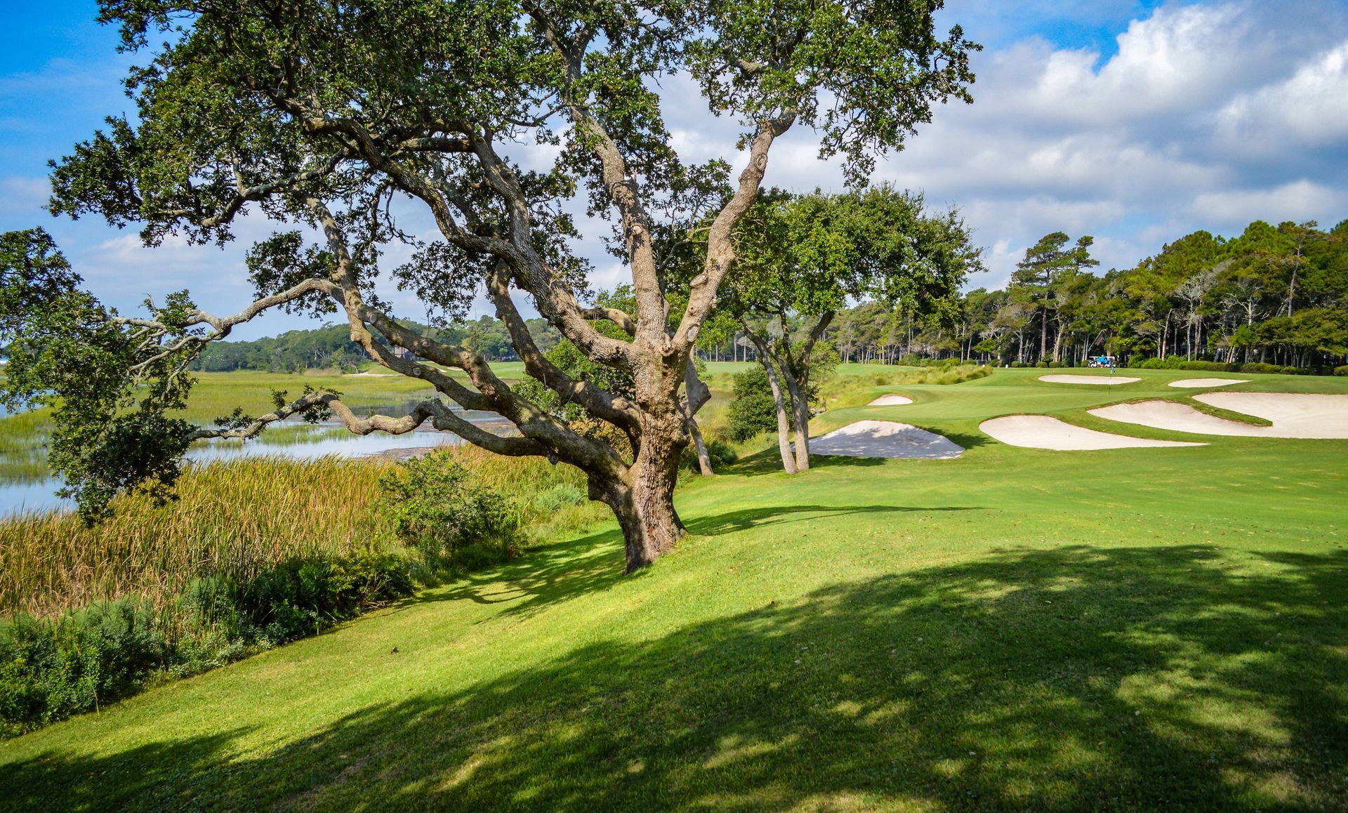 Sunlit golf course with live oak trees and sand bunkers in South Carolina.