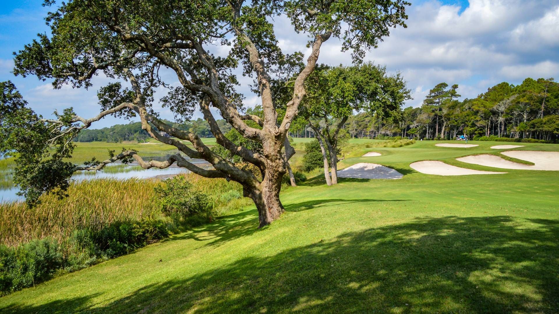 Sunlit golf course with live oak trees and sand bunkers in South Carolina