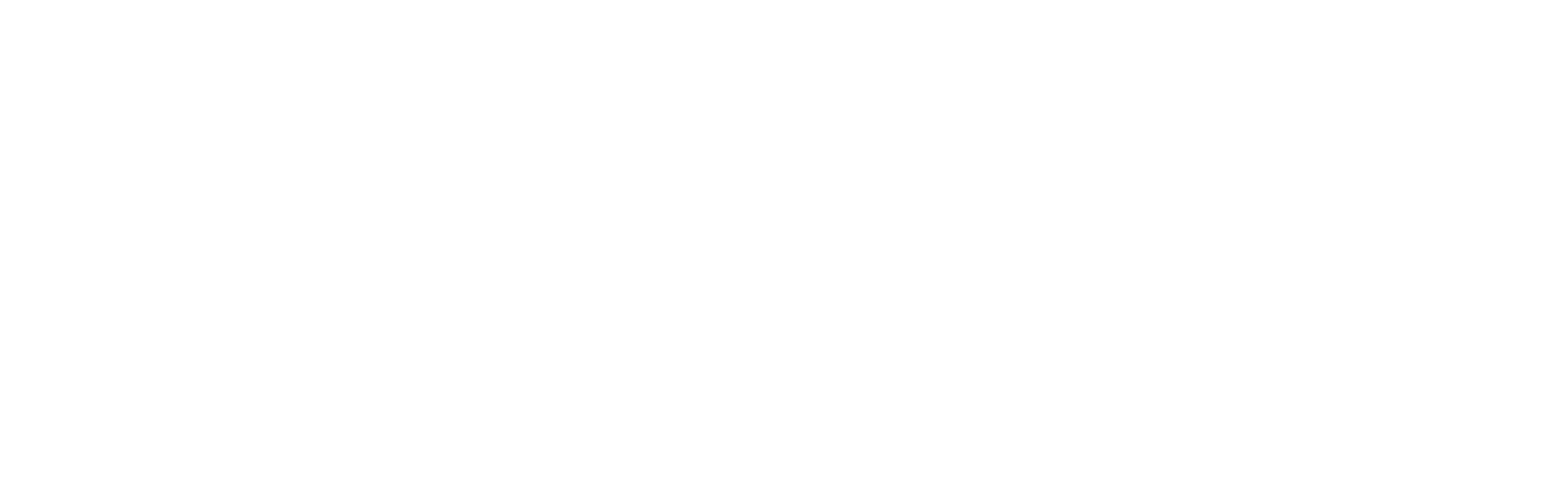 Blank white rectangle with a thin purple border along the top and bottom edges