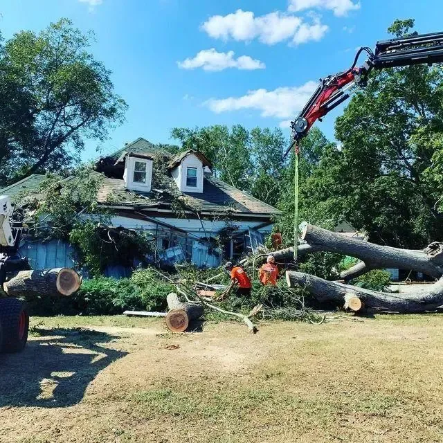 A fallen tree on a house and crew cleaning it up