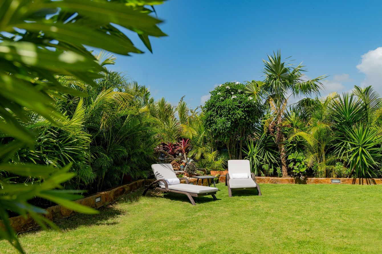 Sunny tropical garden with two white lounge chairs on a green lawn, surrounded by lush palm trees.
