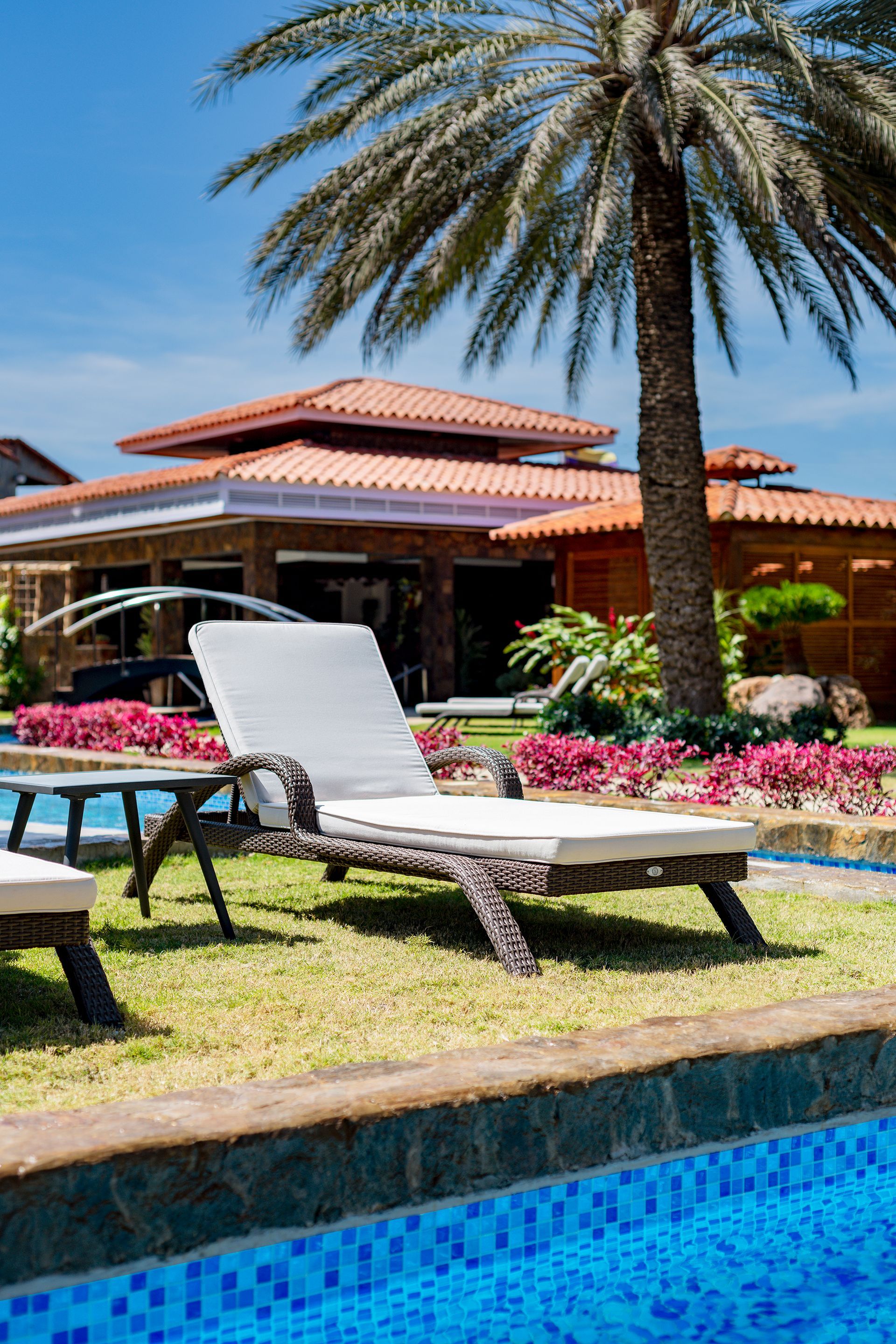 Palm-lined resort patio with lounge chairs beside a blue pool and a terracotta-roofed building