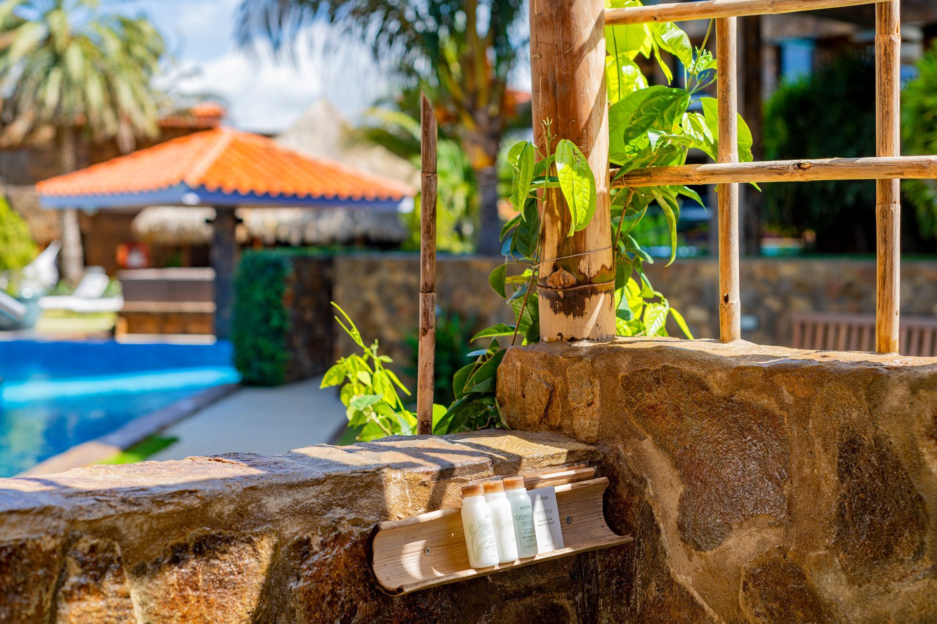 Stone fountain beside a turquoise pool, with a leafy vine and sunlit patio in the background