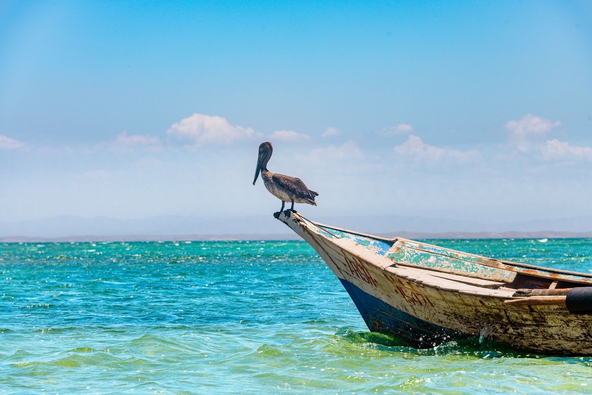 Pelican perched on a small boat at turquoise sea under a blue sky