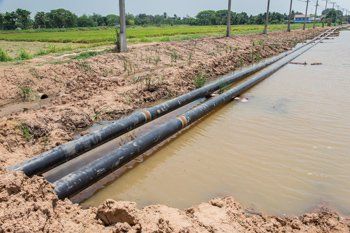 Black pipes run along a flooded dirt canal beside a rural field.