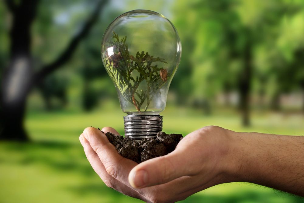 Hand holding soil with a lightbulb containing a plant, set against a blurred green park background.