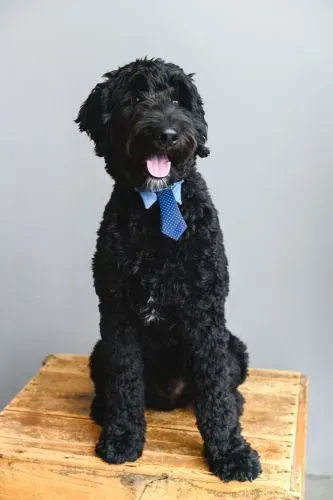 Staff Photo