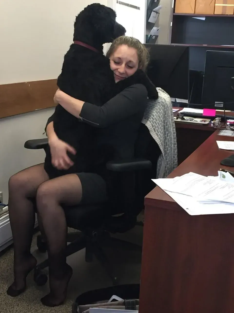 Two people hugging in an office chair beside a desk and computer, with papers on the desk.