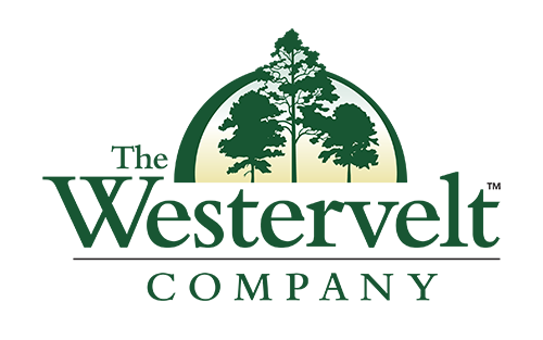Westervelt