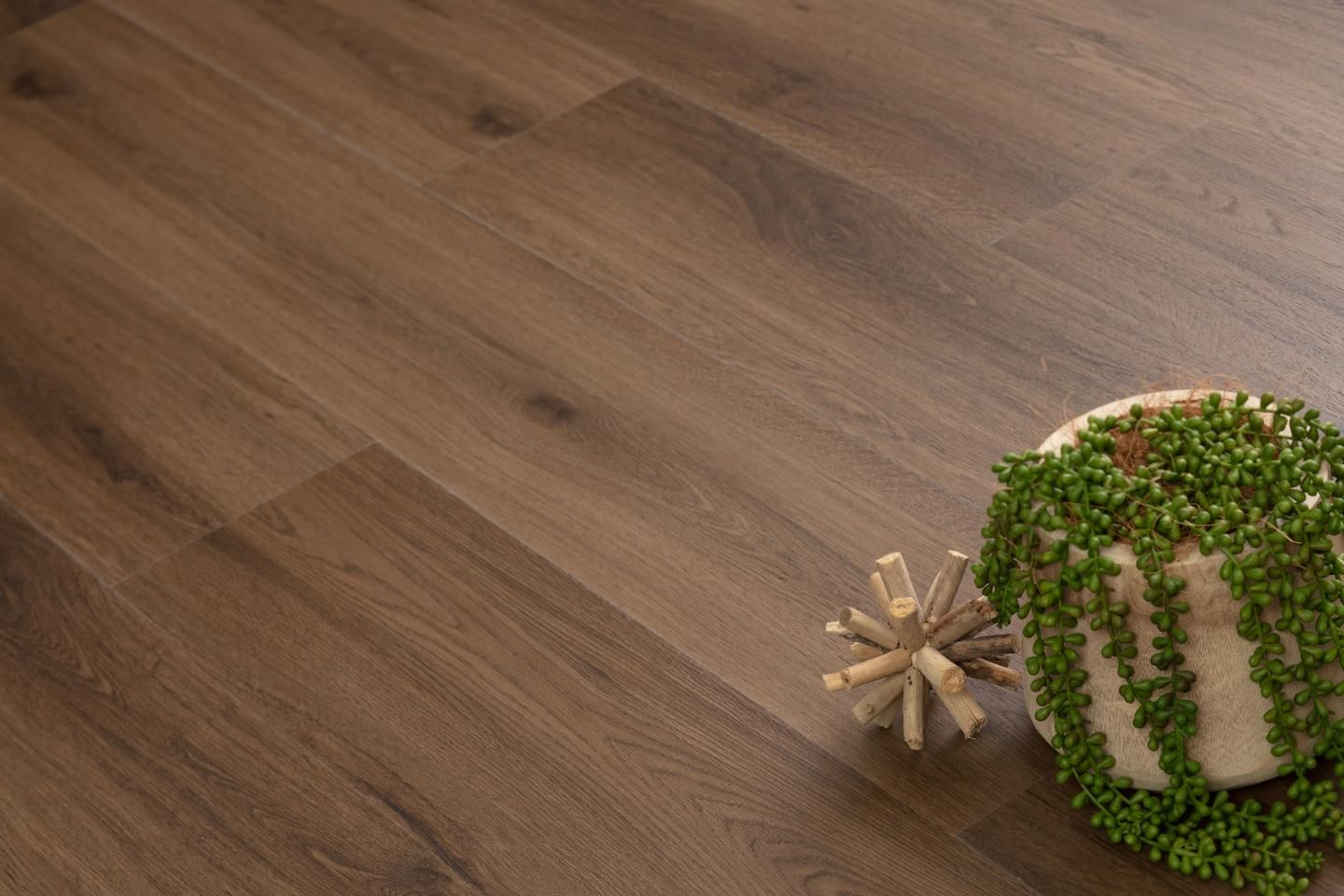 A Small Plant in Bottom Right Corner on a Wooden Floor — Flooring Suppliers in Port Macquarie, NSW