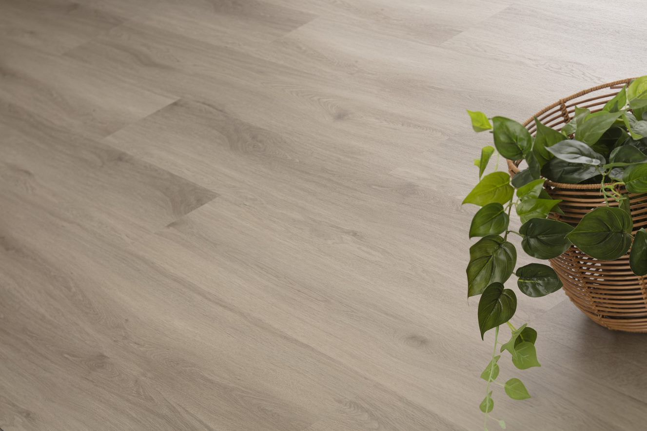 A Potted Plant Is Sitting On A Wooden Floor Next To A Basket — Flooring Suppliers in Port Macquarie, NSW