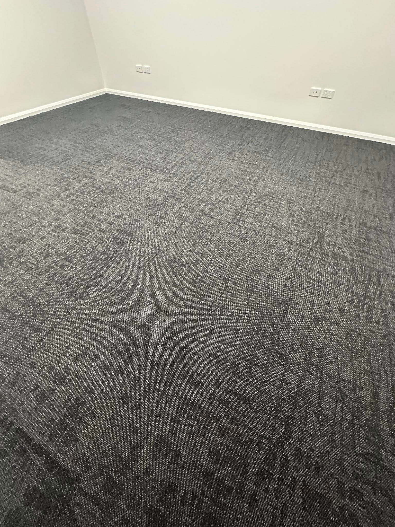 Empty room with light gray walls, white baseboards, and dark gray, textured carpet flooring.