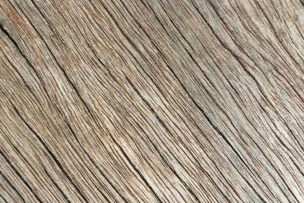 High quality vinyl planks — Floor Coverings in South West Rocks, NSW