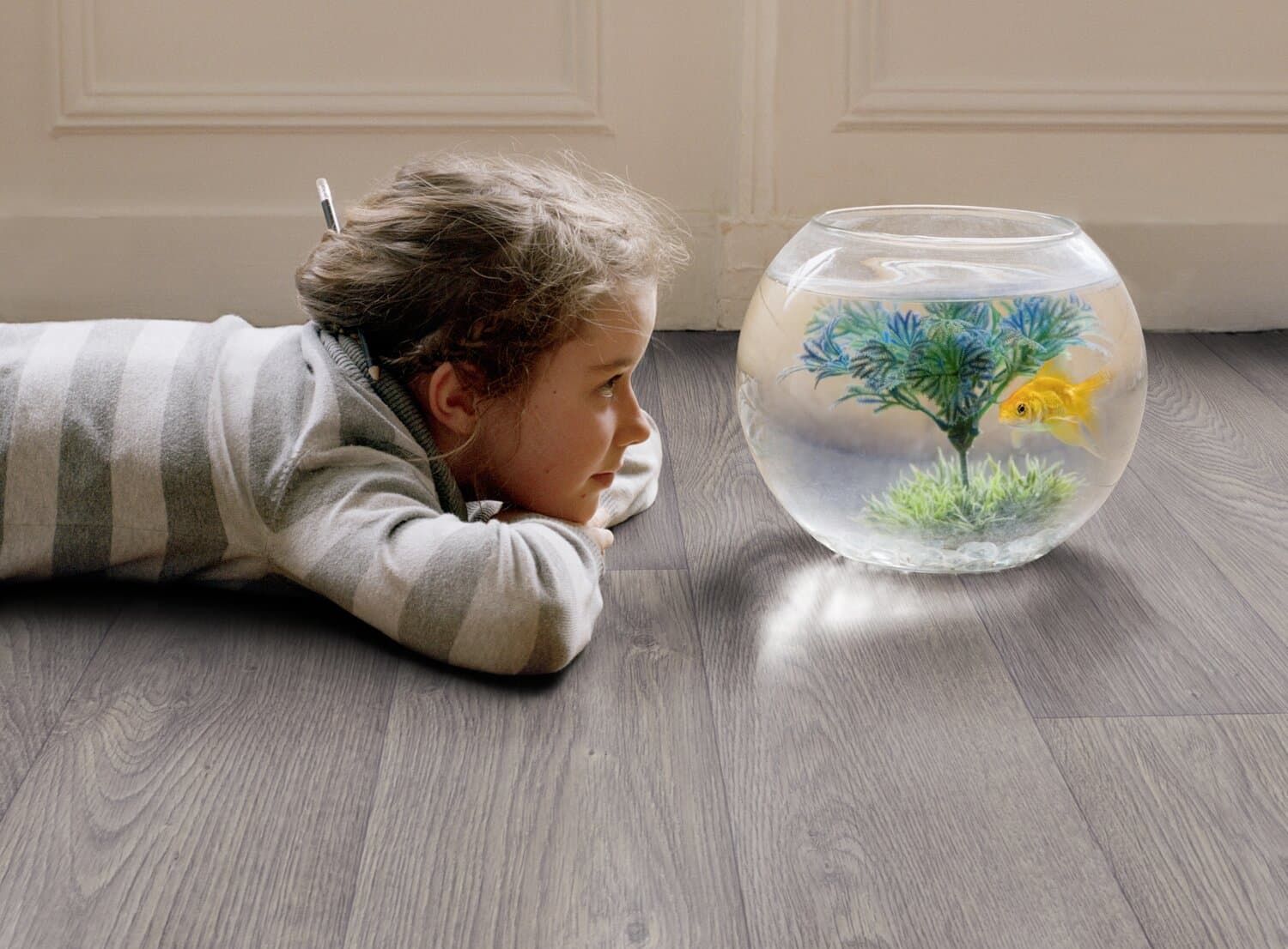 A Little Girl Is Laying On The Floor Looking At A Fish Bowl — Floor Coverings in South West Rocks, NSW