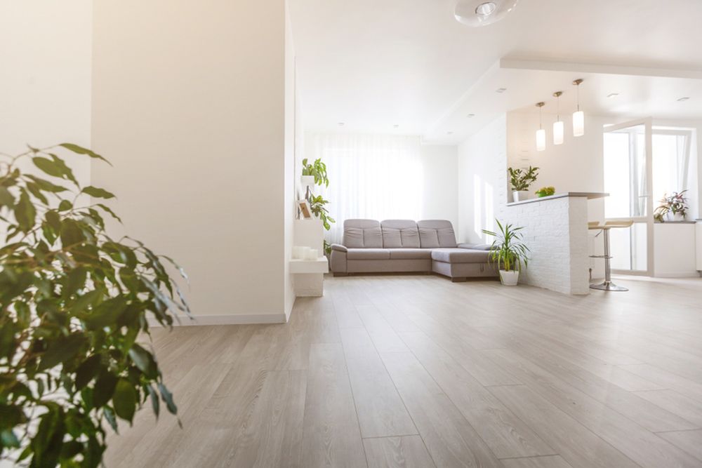 White themed living room with couch and plants — Flooring Suppliers in Laurieton, NSW