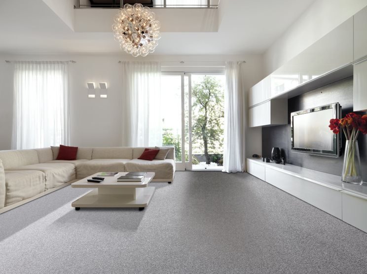 Modern Living Room with Grey Carpet — Flooring Suppliers in Port Macquarie, NSW