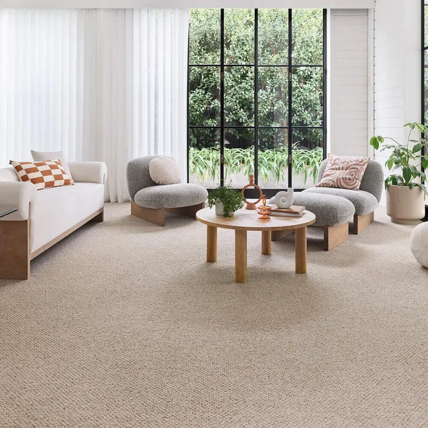 Office wool carpet — Wool Carpet in Port Macquarie, NSW